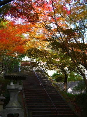 Autumn in Saga Prefecture